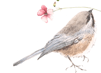 雀と花イラスト